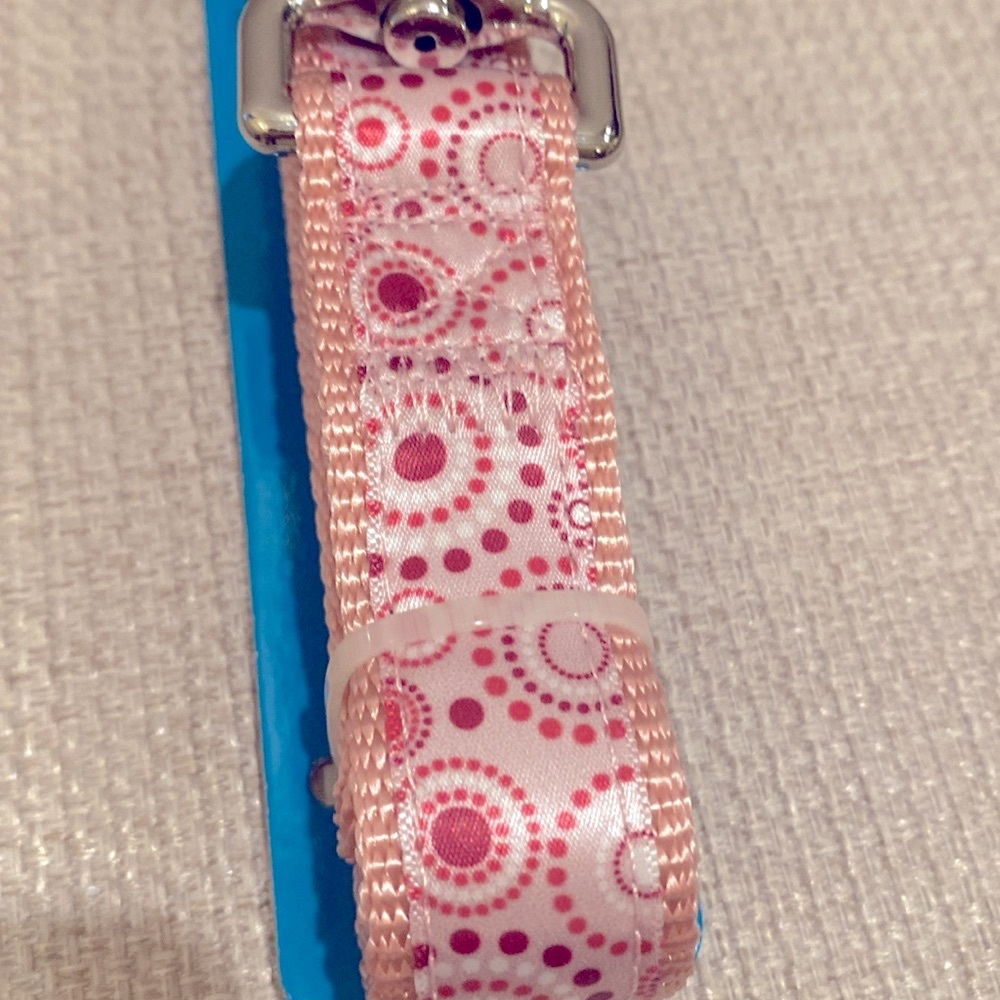 Aspen pet Leash